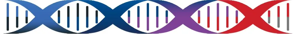 DNA
